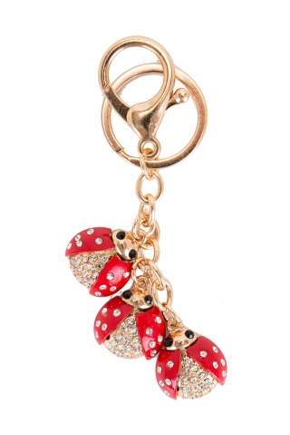Fashion JEWELRY 