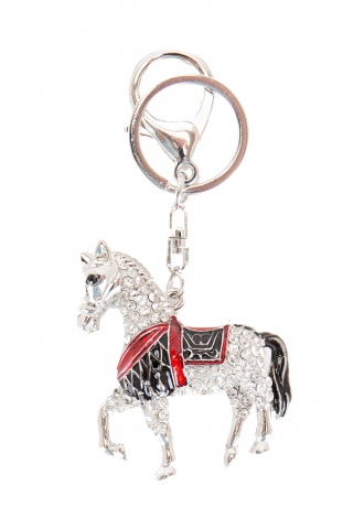 Fashion JEWELRY 