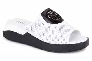 ML Sieviešu iešļūcenes . 