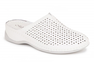 ML Sieviešu iešļūcenes . 