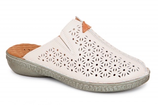 ML Sieviešu iešļūcenes . 