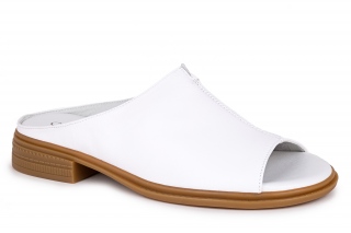 ML Sieviešu iešļūcenes . 